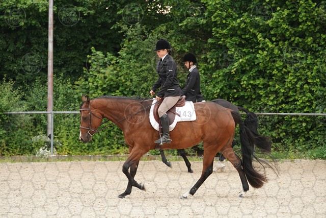 sA9K09916.JPG
